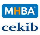 Logo Universität Erlangen-Nürnberg 
         Fernstudiengang Master of Health Business Administration (MHBA)