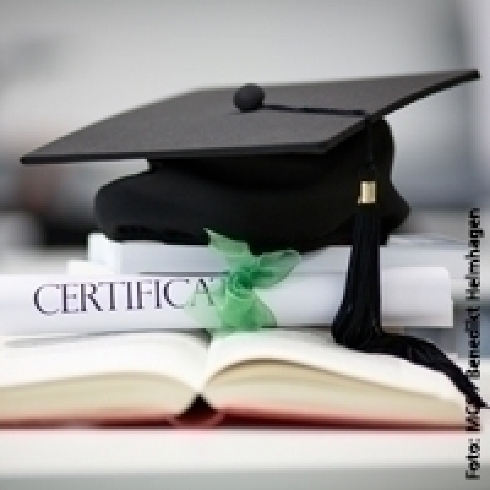 Master Master of Business Administration (MBA), Master in Controlling (MBA) - Schwerpunkte / Curriculum